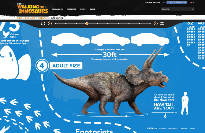 Triceratops infographic — adult size compared to cars and to human height.