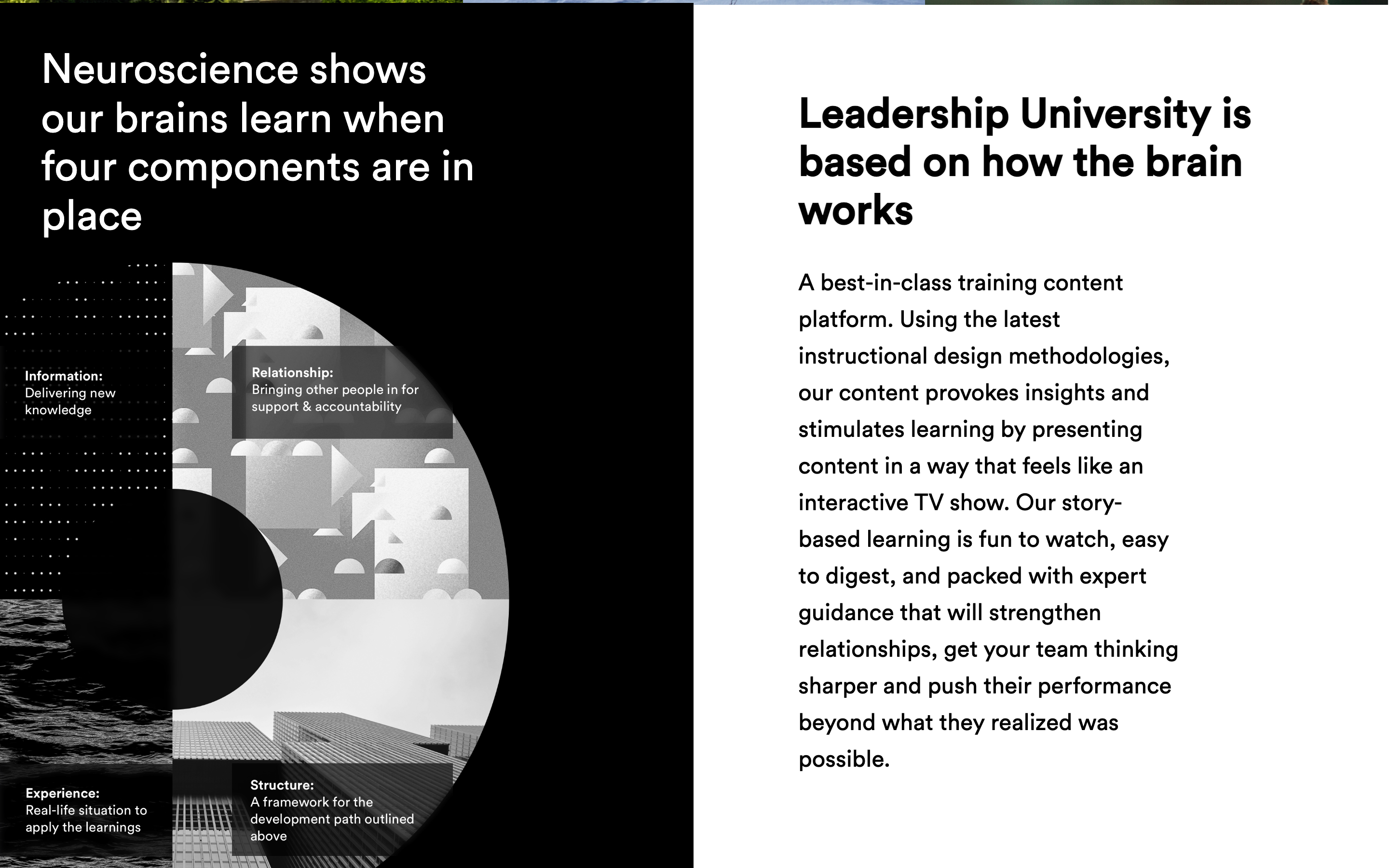 Based on how the brain works — neuroscience-led instructional design across four learning components.